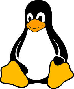 skill image